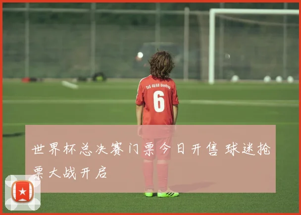 世界杯总决赛门票今日开售 球迷抢票大战开启